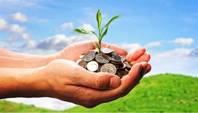 Agricultural Financing problems